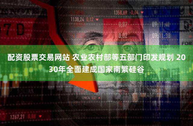配资股票交易网站 农业农村部等五部门印发规划 2030年全面建成国家南繁硅谷