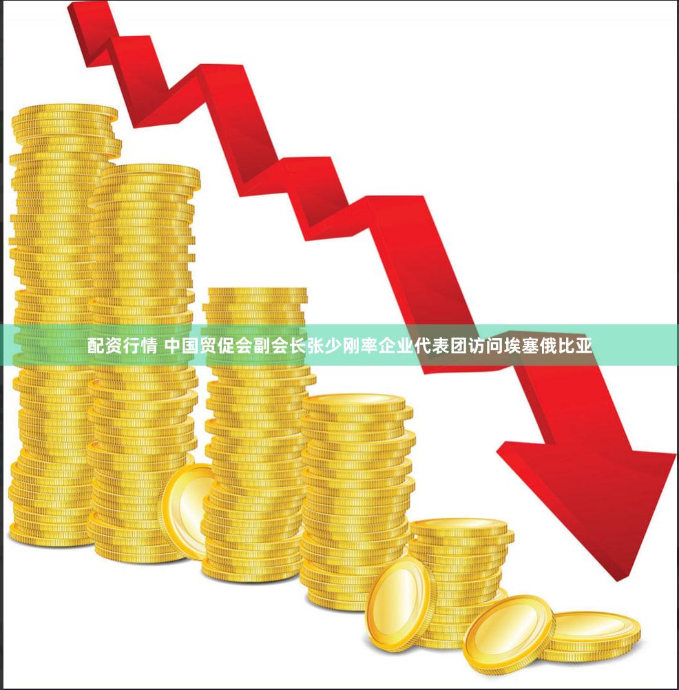 配资行情 中国贸促会副会长张少刚率企业代表团访问埃塞俄比亚