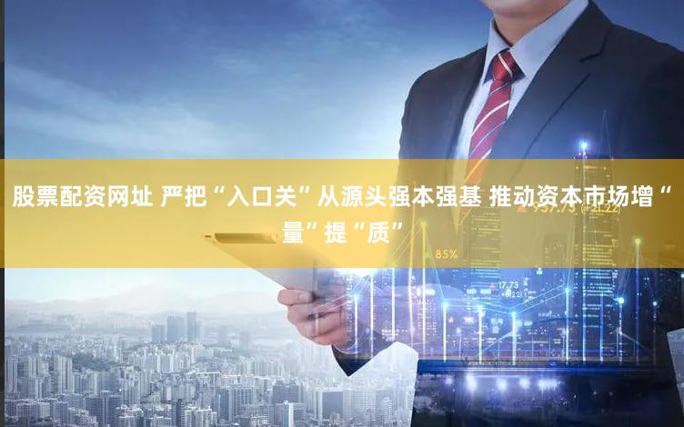 股票配资网址 严把“入口关”从源头强本强基 推动资本市场增“量”提“质”