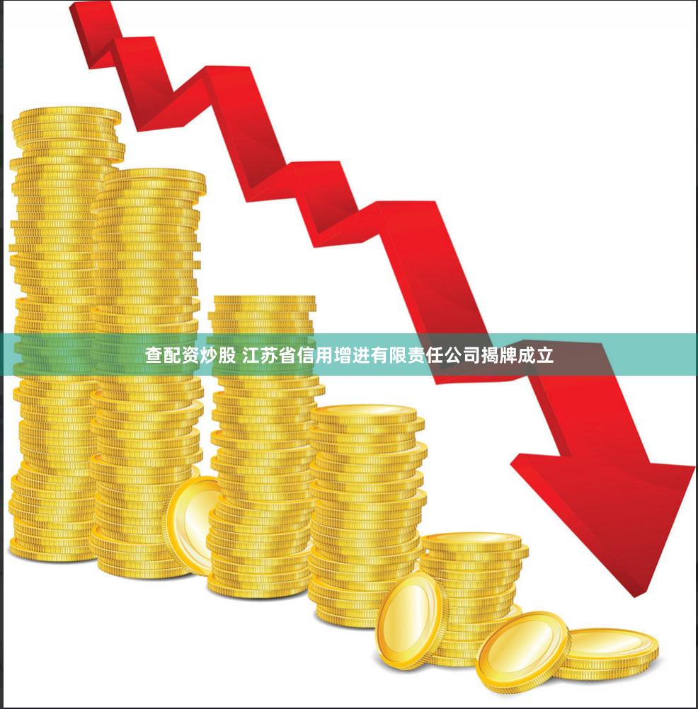 查配资炒股 江苏省信用增进有限责任公司揭牌成立