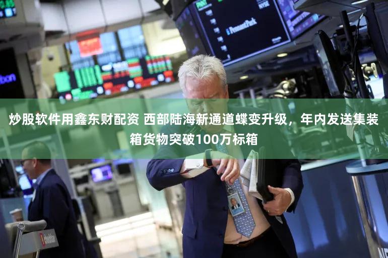 炒股软件用鑫东财配资 西部陆海新通道蝶变升级，年内发送集装箱货物突破100万标箱