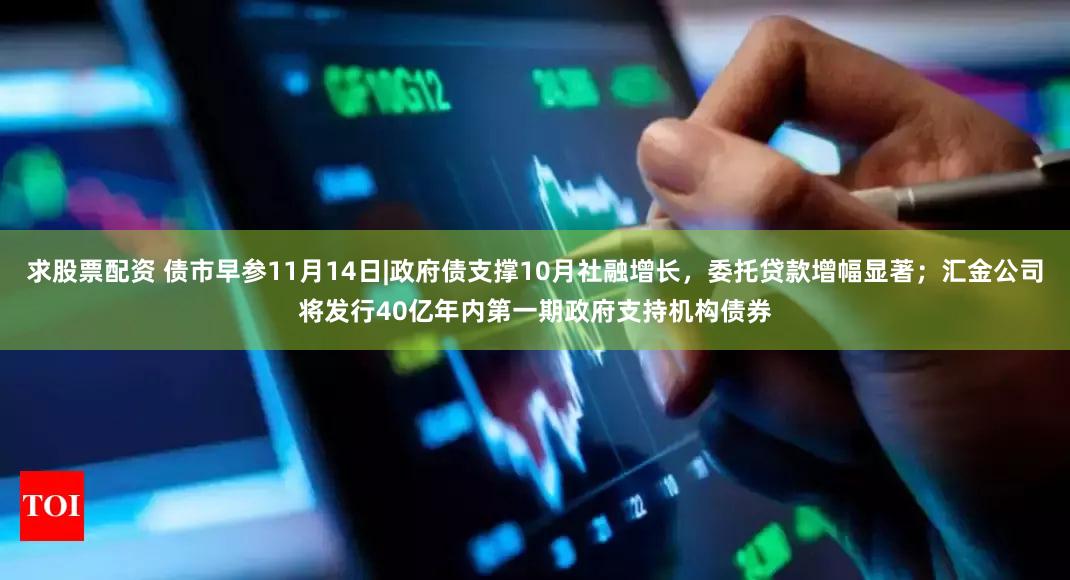 求股票配资 债市早参11月14日|政府债支撑10月社融增长，委托贷款增幅显著；汇金公司将发行40亿年内第一期政府支持机构债券