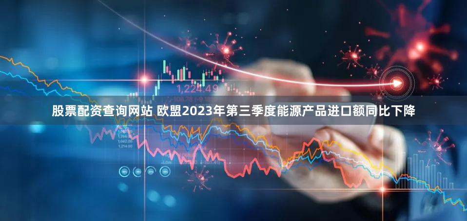 股票配资查询网站 欧盟2023年第三季度能源产品进口额同比下降