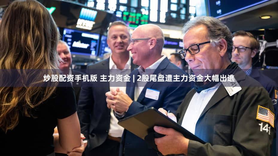 炒股配资手机版 主力资金 | 2股尾盘遭主力资金大幅出逃