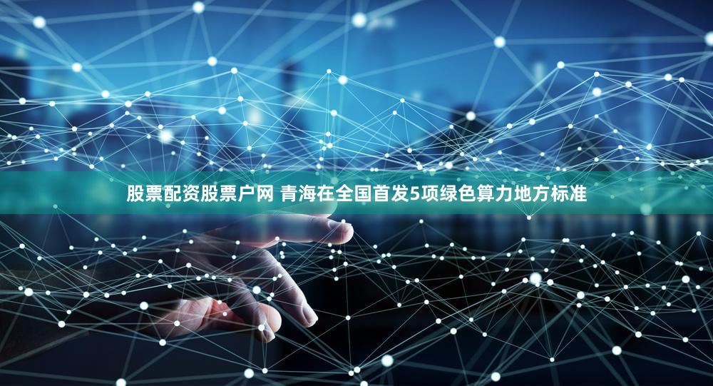 股票配资股票户网 青海在全国首发5项绿色算力地方标准